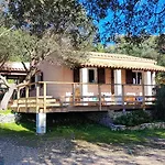 La Carpa