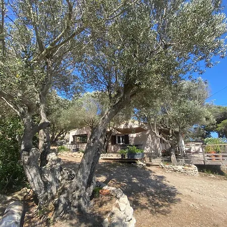 La Carpa * Bonifacio (Corsica)