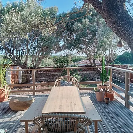 Holiday home La Carpa *
