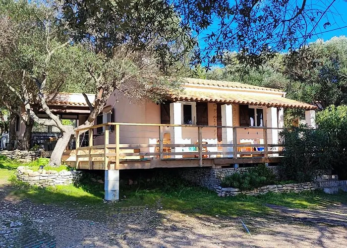 La Carpa